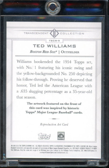 2016 Transcendent Ted Williams Sketch 6/65