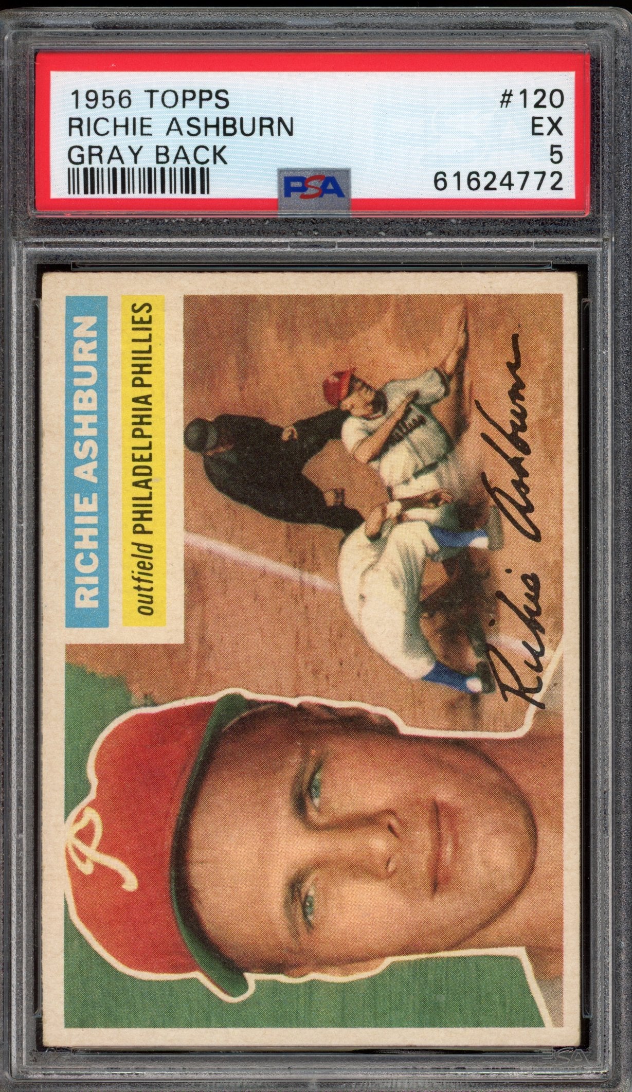 1956 Topps Richie Ashburn PSA 5 Gray Back